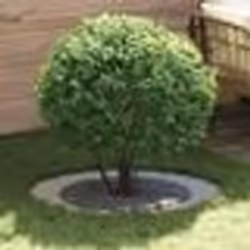 vidaXL Pot en métal galvanisé Galvanisé Métal Grand Durable