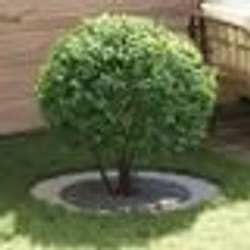 vidaXL Pot en métal galvanisé Galvanisé Métal Grand Durable