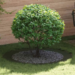 vidaXL Anneau d'arbre plat Vert olive Ø90 / 120 cm Acier