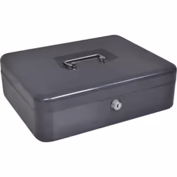 Le coffre-fort portable vidaXL est parfait pour garder tes objets précieux en sécurité. Avec son verrou à came fiable, il gar ...