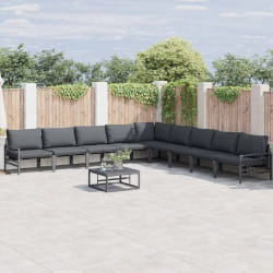vidaXL Ensemble de canapé de jardin 10 pcs Anthracite Acier