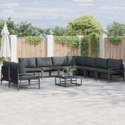 vidaXL Ensemble de canapé de jardin 10 pcs Anthracite Acier