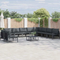 vidaXL Ensemble de canapé de jardin 10 pcs Anthracite Acier