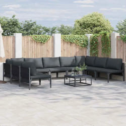 vidaXL Ensemble de canapé de jardin 9 pcs Anthracite Acier
