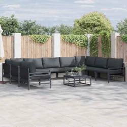 vidaXL Ensemble de canapé de jardin 9 pcs Anthracite Acier