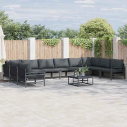 vidaXL Ensemble de canapé de jardin 11 pcs Anthracite Acier
