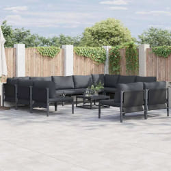 vidaXL Ensemble de canapé de jardin 11 pcs Anthracite Acier