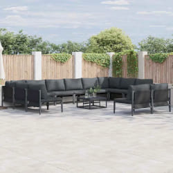 vidaXL Ensemble de canapé de jardin 13 pcs Anthracite Acier