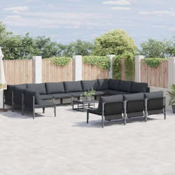 vidaXL Ensemble de canapé de jardin 13 pcs Anthracite Acier
