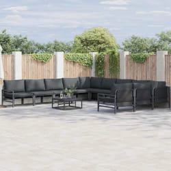 vidaXL Ensemble de canapé de jardin 12 pcs Anthracite Acier