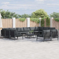 vidaXL Ensemble de canapé de jardin 13 pcs Anthracite Acier