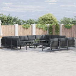 vidaXL Ensemble de canapé de jardin 13 pcs Anthracite Acier