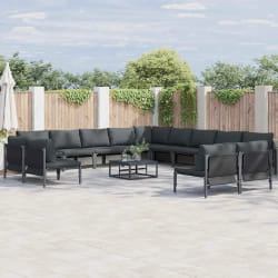vidaXL Ensemble de canapé de jardin 13 pcs Anthracite Acier