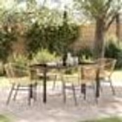 vidaXL Set de Salle à Manger de Jardin 5 Pièces Marron en Poly Rattan