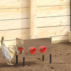 Mangeoire Pour Poules 2 Pcs Argent 41,5 X 20,5 X 33 Cm Vidaxl