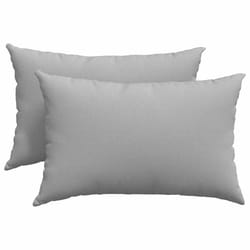 Coussins De Canapé 2 Pcs Gris Nuage 60 X 40 Cm Tissu Vidaxl