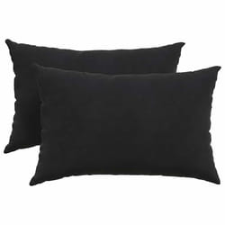 Coussins De Canapé 2 Pcs Noir 60 X 40 Cm Vidaxl