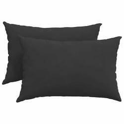 Coussins De Canapé 2 Pcs Noir 60 X 40 Cm Tissu Vidaxl