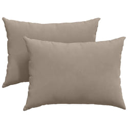 Coussins De Canapé 2 Pcs Taupe 70 X 50 Cm Tissu Vidaxl
