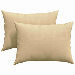 Coussins De Canapé 2 Pcs Vert Gris 70 X 50 Cm Vidaxl