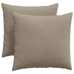 Coussins De Canapé 2 Pcs Taupe 45 X 45 Cm Tissu Vidaxl