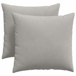 Coussins De Canapé 2 Pcs Gris Clair 45 X 45 Cm Tissu Vidaxl