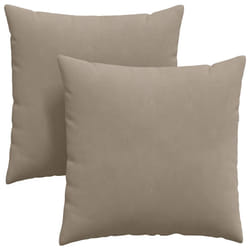 Coussins De Canapé 2 Pcs Taupe 60 X 60 Cm Tissu Vidaxl