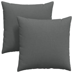 Coussins De Canapé 2 Pcs Gris Foncé 80 X 80 Cm Tissu Vidaxl