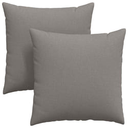 Coussins De Canapé 2 Pcs Taupe 80 X 80 Cm Tissu Vidaxl