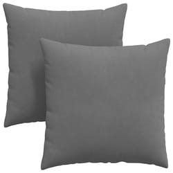 Coussins De Canapé 2 Pcs Gris Foncé 80 X 80 Cm Tissu Vidaxl