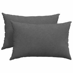Coussins De Canapé 2 Pcs Gris Foncé 60 X 40 Cm Vidaxl