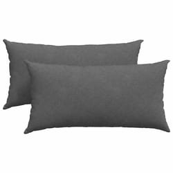Coussins De Canapé 2 Pcs Gris Foncé 80 X 40 Cm Vidaxl