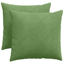 Coussins De Canapé 2 Pcs Vert Clair 50 X 50 Cm Vidaxl