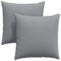 Coussins De Canapé 2 Pcs Gris Clair 60 X 60 Cm Tissu Vidaxl