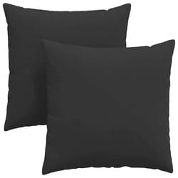 Coussins De Canapé 2 Pcs Noir 60 X 60 Cm Tissu Vidaxl