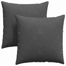 Coussins De Canapé 2 Pcs Gris Foncé 60 X 60 Cm Vidaxl