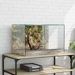 vidaXL Terrarium avec stockage Transparent 60 x 40 x 40 cm Verre