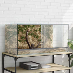 Habitats pour reptiles et amphibiens Blanc 80 x 40 x 40 cm vidaXL