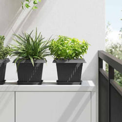vidaXL Pot de Fleurs Carré 6 pcs Noir 23 x 23 x 175 cm Plastique 42020336