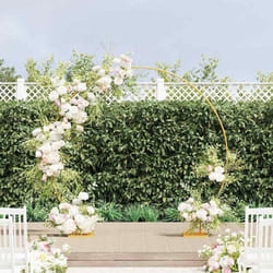 Arche de mariage dorée en acier VidaXL 220 x 45 x 200 cm
