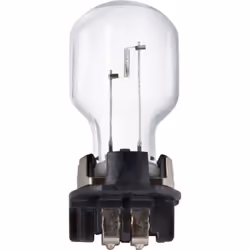 Ampoule secondaire PHILIPS PW24W Vision 12V, 24W, 1 pièce