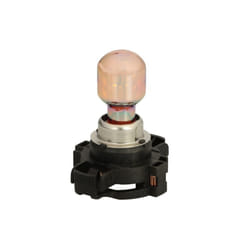 Ampoule secondaire PHILIPS PY24W 12V, 24W, 1 pièce