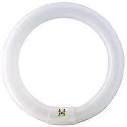 Philips 22 W G10q, 22 W, G10q, C-T9, 9000 h, 1300 lm, Blanc neutre