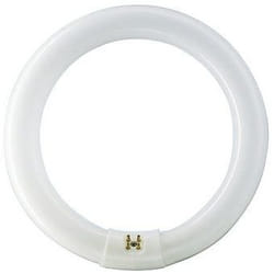Philips 22 W G10q ampoule fluorescente Blanc neutre