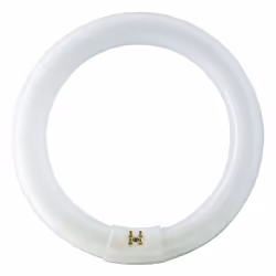Philips MASTER TL-E Circular, 22 W, G10Q, C-T9, 1250 lm, Lumière du jour froide