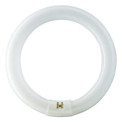 Philips MASTER TL-E Circular ampoule fluorescente 22 W G10Q Lumière du jour froide