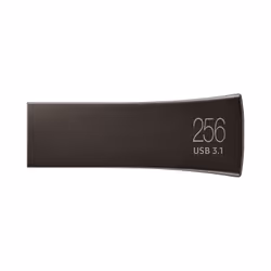 Samsung MUF-256BE lecteur USB flash 256 Go USB Type-A 3.2 Gen 1 (3.1 Gen 1) Gris, Titane