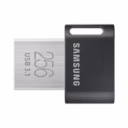 Samsung MUF-256AB, 256 Go, USB Type-A, 3.2 Gen 1 (3.1 Gen 1), Pivotant, 3,1 g, Noir, Acier inoxydable