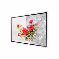 Samsung Flip 2 WM55R 55"
