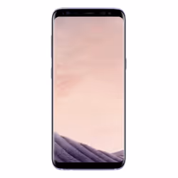 Samsung Galaxy S8 SM-G950F, 14,7 cm (5.8"), 4 Go, 64 Go, 12 MP, Android 7.0, Gris